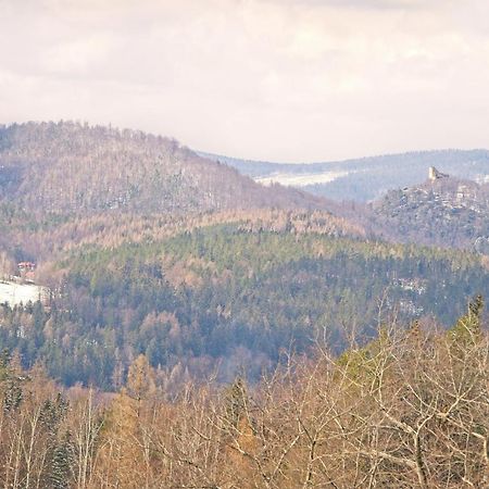 Villa Willa "Sniezna Kopa"-Agroturystyka Pro Zdrowotna à Sosnówka Extérieur photo
