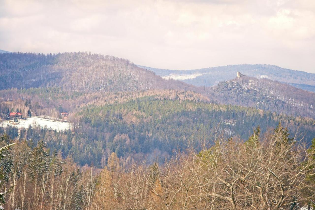 Villa Willa "Sniezna Kopa"-Agroturystyka Pro Zdrowotna à Sosnówka Extérieur photo