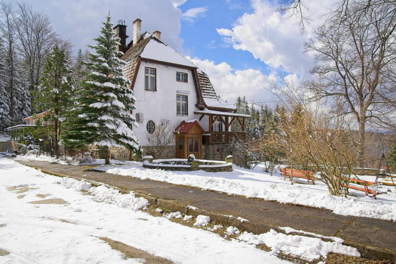Villa Willa "Sniezna Kopa"-Agroturystyka Pro Zdrowotna à Sosnówka Extérieur photo