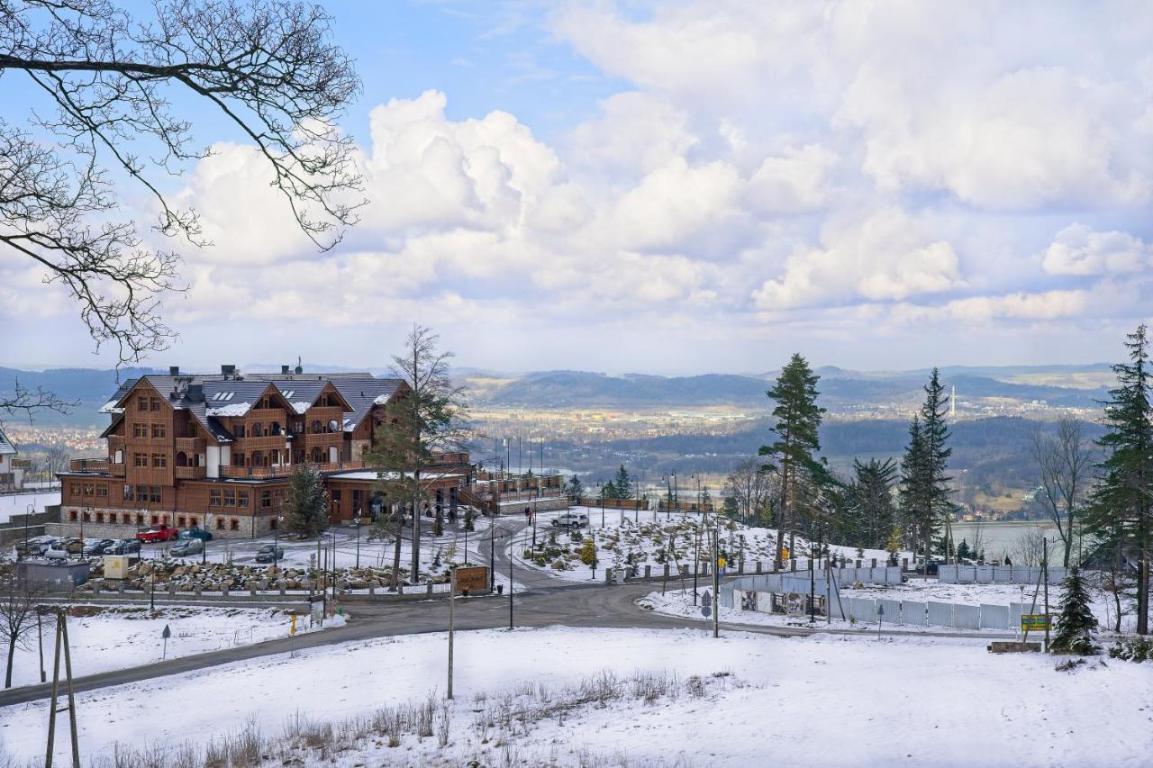 Villa Willa "Sniezna Kopa"-Agroturystyka Pro Zdrowotna à Sosnówka Extérieur photo