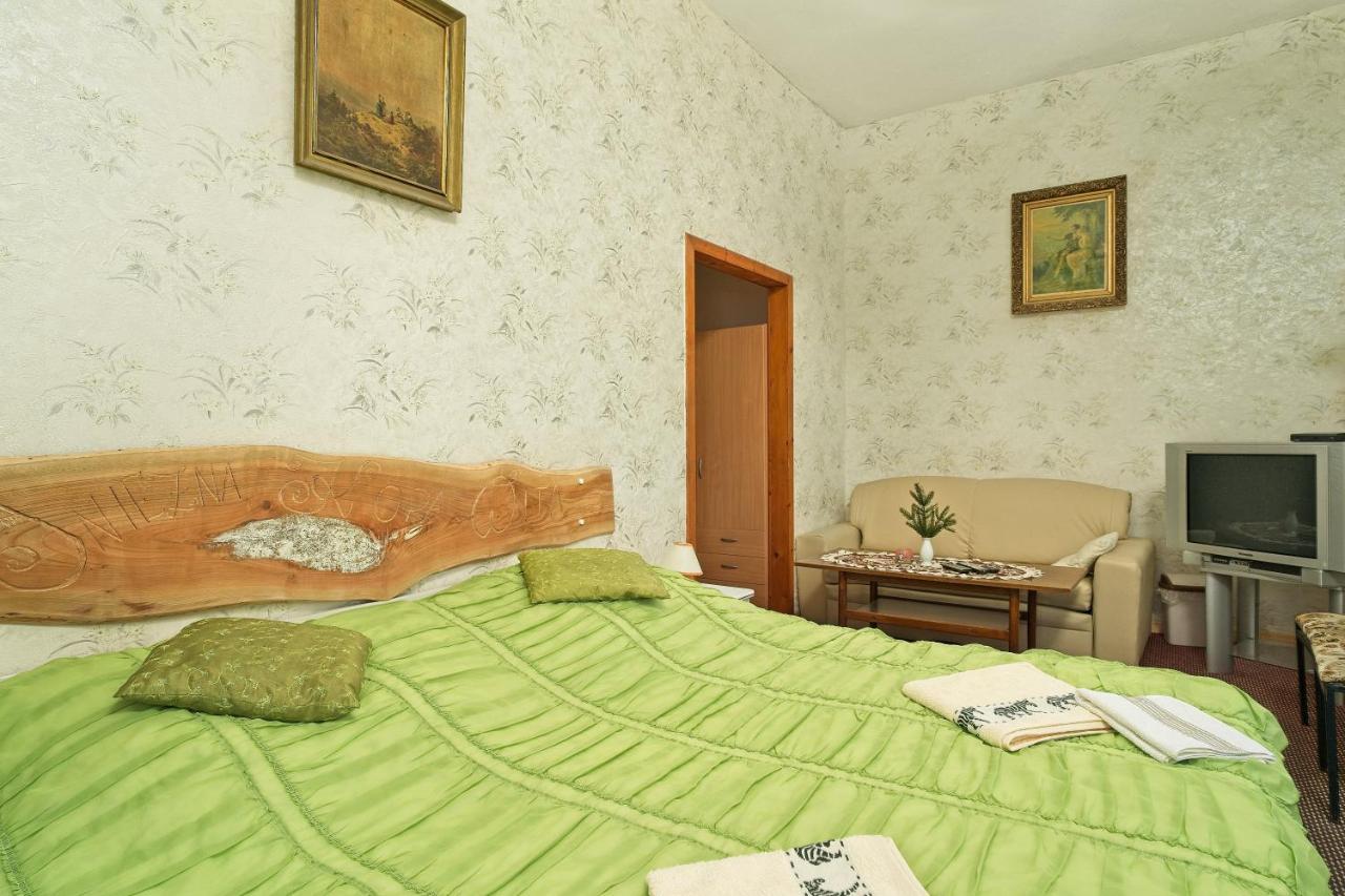 Villa Willa "Sniezna Kopa"-Agroturystyka Pro Zdrowotna à Sosnówka Extérieur photo