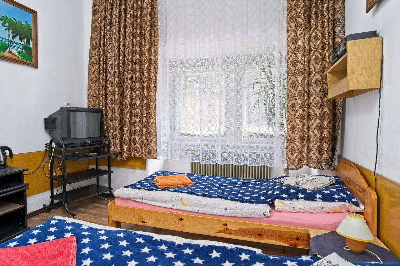 Villa Willa "Sniezna Kopa"-Agroturystyka Pro Zdrowotna à Sosnówka Extérieur photo