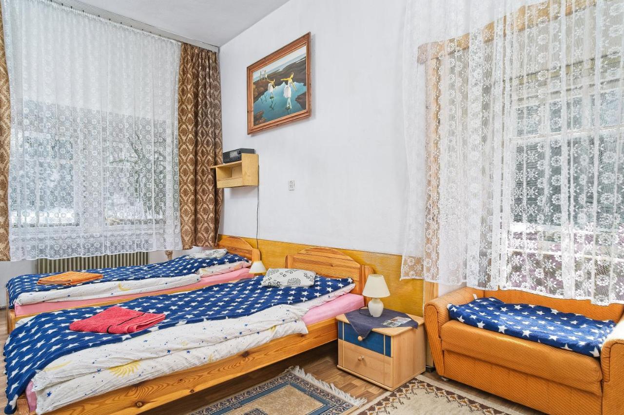 Villa Willa "Sniezna Kopa"-Agroturystyka Pro Zdrowotna à Sosnówka Extérieur photo