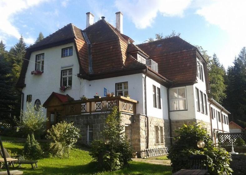 Villa Willa "Sniezna Kopa"-Agroturystyka Pro Zdrowotna à Sosnówka Extérieur photo