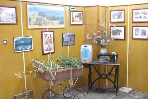 Villa Willa "Sniezna Kopa"-Agroturystyka Pro Zdrowotna à Sosnówka Extérieur photo