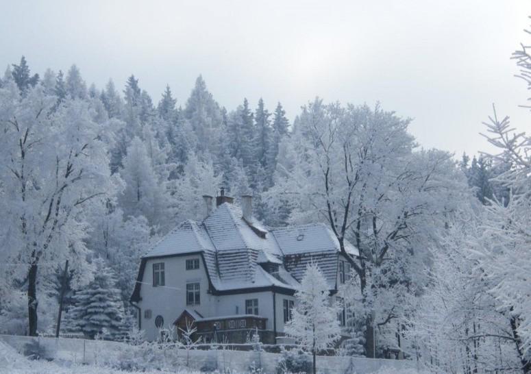 Villa Willa "Sniezna Kopa"-Agroturystyka Pro Zdrowotna à Sosnówka Extérieur photo